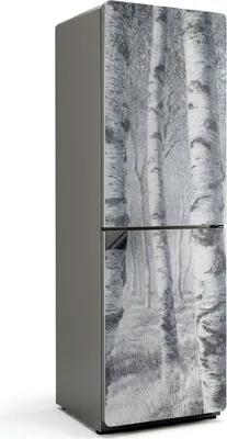 Produktbild von Waldlandschaft mit Bäumen – Magnetische Kühlschrank Abdeckung – Dekorfolie magnetisch Küche – Kühlschrank Magnet Deko – selbstklebende Magnettafel – Magnetfolie für Kühlschranktür – 60x180 cm