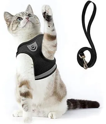 Produktbild von Katzengeschirr ausbruchsicher mit Leine, Weste für Kitten & Chihuahua, L, Schwarz