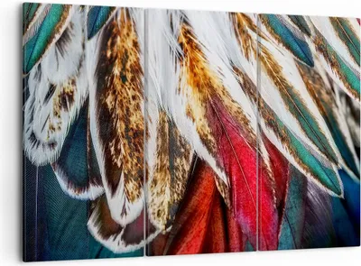 Produktbild von Bild auf Leinwand - Leinwandbild - Federn Federn Vogel - 105x70cm - Wand Bild - Wanddeko - Leinwanddruck - Bilder - Kunstdruck - Wanddekoration - Leinwand bilder - Wandkunst - CE105x70-3743