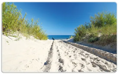 Produktbild von Wallario Frühstücksbrettchen aus Glas, je 14 x 23 cm, mit rutschfesten Füßen, Motiv Auf dem Sandweg zum Strand - Blauer Himmel über dem Meer