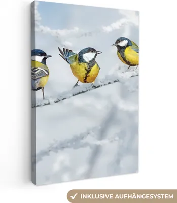 Produktbild von MuchoWow® - Leinwandbilder - Vogel - Kohlmeise - Winter - Schnee - Zweige, Wandbild, Wanddeko Bilder Wohnzimmer, 20x30 cm
