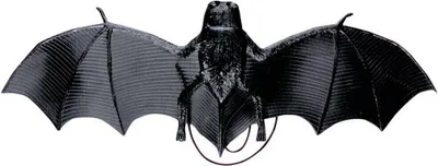 Produktbild von Fledermaus mit Saugnäpfen - Halloween