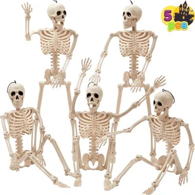 Obrázek produktu pro JOYIN Halloween kostry sada 5 kloubů 40,6 cm hřbitovní dekorace