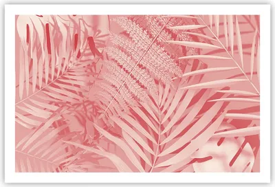 Produktbild von Poster - Poster ohne Rahmen - Rosa Blätter Palmen - 91,5x61 cm - Wand Bild - Wanddeko - Wandbilder - Kunstposter - Wandposter - Bilder - Kunstdruck - Wanddekoration - Wandbild - P2XAA91x61-4745
