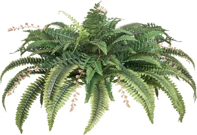Zdjęcie produktu dla VEVOR Sztuczna paproć, średnica od 95-105 cm, wisząca sztuczna paproć Boston, dekoracja ścienna z 80 gałęziami i doniczką, sztuczna paproć do domu, biura i użytku na zewnątrz
