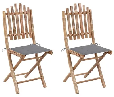 Productafbeelding van Inklapbare Tuinstoelen met Kussen Set van 2