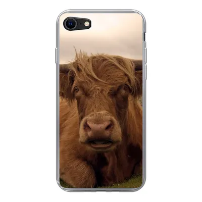 Produktbild von MuchoWow® Handyhülle Schutzhülle Hülle für iPhone SE 2020 Schottischer Highlander - Tiere - Berg Silikon Softcase Handy Hülle - Kartenbesitzer