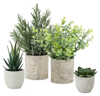 Produktbild von künstliche Topfpflanzen, Sukkulenten, künstlicher Eukalyptus, kleine künstliche Rosmarinpflanze für künstliche Sukkulenten, Schreibtischdekoration, Wohnzimmerdekoration