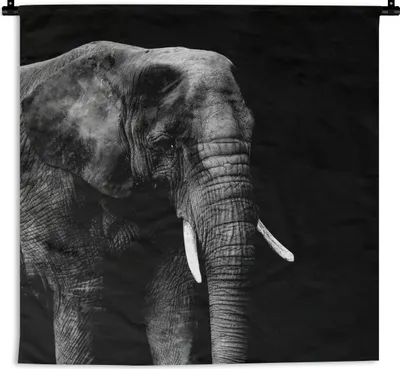 Produktbild von MuchoWow® Wandteppich Wandbehang Elefant - Tiere - Schwarz - Weiß 150x150 cm Tapisserie Dekoration Wandtuch - Wohnaccessoires - Modernes