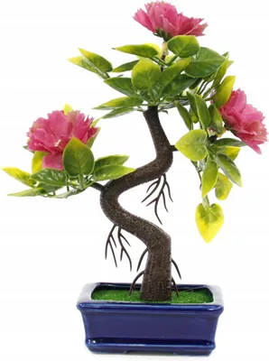 Produktbild von Künstlicher Bonsai Baum im Topf 20cm - Realistische Deko Pflanze - Pflegeleicht & Stilvoll