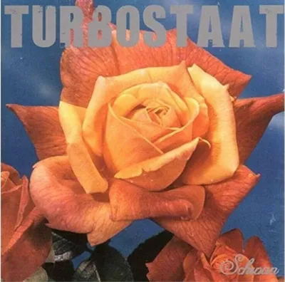Produktbild von Turbostaat: Turbostaat: Schwan (180g) (Limited Edition) - - (LP / S)