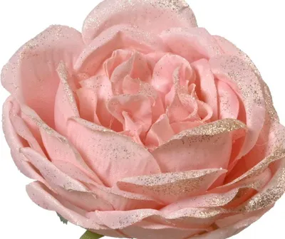 Image de Produits de jardin