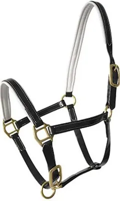 Image de Licol Lexhis en Biothane noir, taille Cob noir