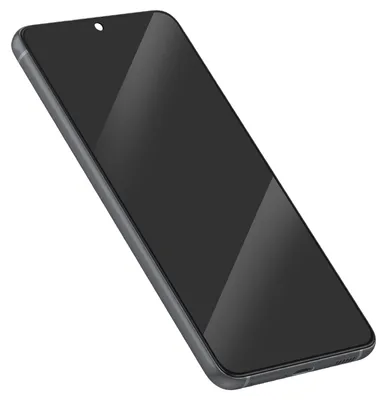 Obrázek produktu pro Clappio, kompletní LCD displej pro Galaxy S21 FE s krytem, černý