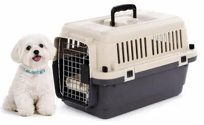 Produktbild von hundebox Auto - transportbox Hund - Flamingo Fomad dunkelgrau - XS 33 x 50 x 33