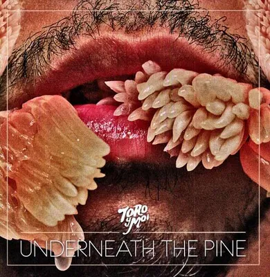 Produktbild von Underneath The Pine