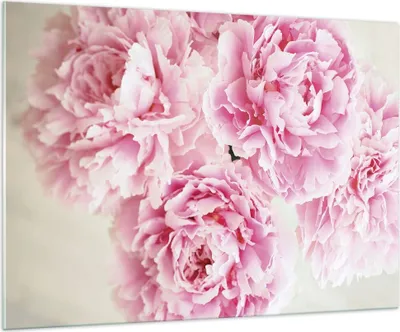 Produktbild von Bilder auf glas - Einteilig - Pfingstrosen Blumenstrauß Blumen - 100x70cm - Glasbilder - Wandbilder - Bilder - Wanddekoration aus Glas - Glas Bilder - Wandbild auf Glas - GAA100x70-4961