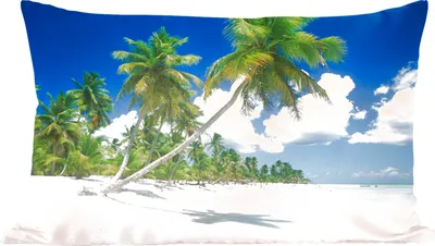 Produktbild von MuchoWow® Zierkissen Sofakissen Wohnzimmer Dekokissen 60x40 cm Strand - Palme - Tropisch - Kopfkissen - Polster mit Foto