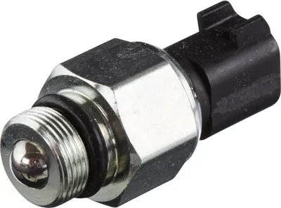 Image de Spinac, lumière vers l'arrière