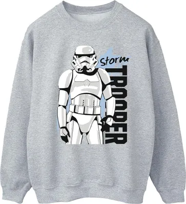 Produktbild von Star Wars - Sweatshirt für Herren BI46002 (XXL) (Grau)