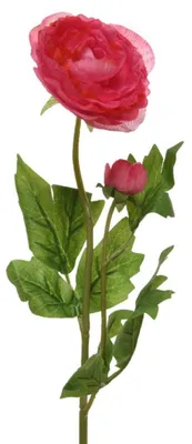 Produktbild von Basic Kunstbloem Ranonkel 57 Cm Rood