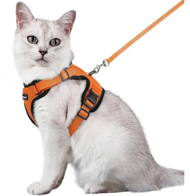Produktbild von Katzengeschirr mit Leine, ausbruchsicher, verstellbar, Orange, Größe M