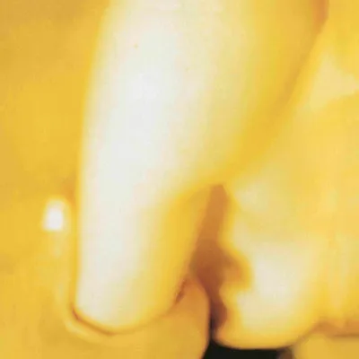 Imagen del producto de The Smashing Pumpkins - Pisces Iscariot (Reedición) (180 g) (2 LP)