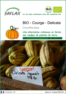 Image de SAFLAX -- Courge - Delicata - 6 graines - Cucurbita