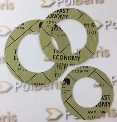 POLBERIS Dichtung DN50 PN10-40 TEMAFAST ECONOMY