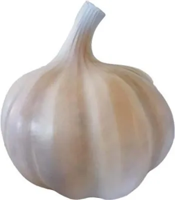 Zdjęcie produktu dla Czosnek figura statuetka sklep dekoracja figury 90cm sklep dekoracja ogrodu