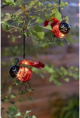 Immagine prodotto di Coccinella solare Galix