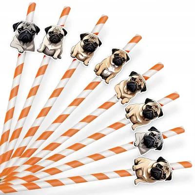 Produktbild von PAPIER-TRINKHALME GEBURTSTAG DEKO - Hund Hunde Rasse MOPS PUG - 8 St.