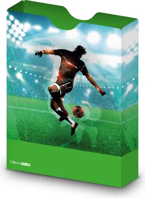 Produktbild von itenga Heftbox DIN A4 Hochformat aus PP Motiv Fussball