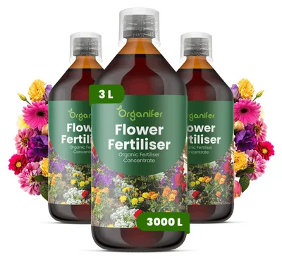 Produktbild von Flower Flüssigdünger 3x1L – 3-4-3 NPK – Flüssigdünger für Blühpflanzen – Für Intensive Blütenfarbe & Vitales Wachstum – Organifer