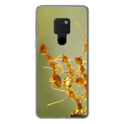 Produktbild von MuchoWow® Handyhülle Schutzhülle Hülle für Huawei P40 Lite Ameisen - Orange - Tiere Silikon Softcase Handy Hülle - Handy