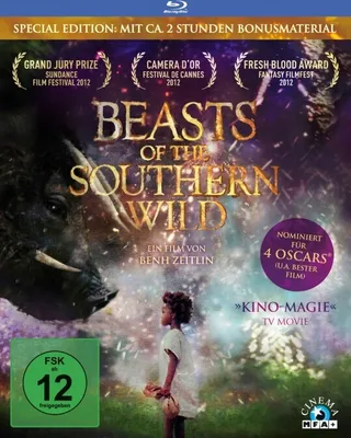 Produktbild von Beasts of the Southern Wild