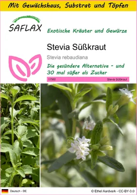 Produktbild von SAFLAX Anzucht Set - Stevia Süßkraut - Stevia rebaudiana - 100 Samen - Mit Mini-Gewächshaus, Anzuchtsubstrat und 2 Töpfen