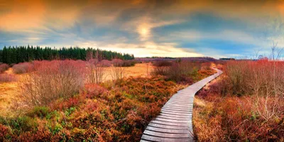 Produktbild von Panorama-Postkarte Faszination Erde "Moorlandschaft"
