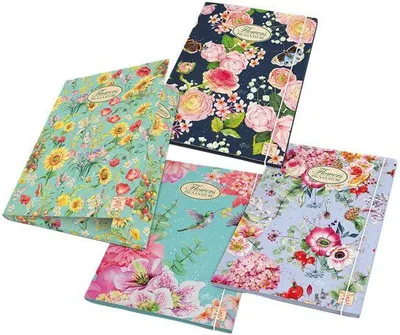 Produktbild von Pigna 02303643L Sammelmappe Mehrfarbig