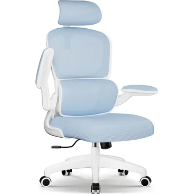 Image de Chaise de bureau Aiibot Chaise de bureau ergonomique Appuie-tête réglable Accoudoirs rabattables Appui-lordose Fauteuil de bureau pivotant Fonction bascule 150kg