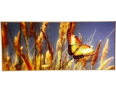 Obrázok produktu pre Obraz v ráme SHADOW 59x134 cm Butterfly