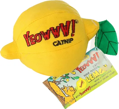 Zdjęcie produktu dla Yeowww, kwaśny kotek! Cytryna