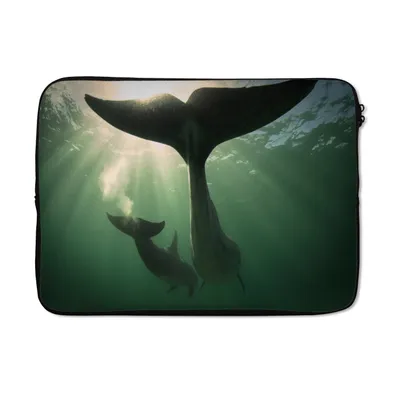 Produktbild von MuchoWow® Laptop Hülle 14 ZollDelfin - Wasser - Blau Laptoptasche - Laptoptasche - Stoßsicher - Schutzhaube