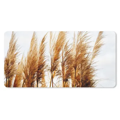 Produktbild von MuchoWow® Schreibtischunterlage Pampasgras - Sonne - Gras 80x40 cm - XXL Mauspad - Gaming Mauspad