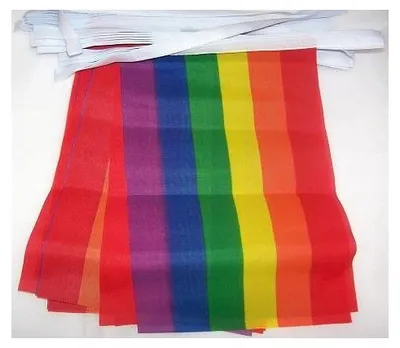 Wimpelkette Regenbogen 4 m, 20 Flaggen, Polyester, 15x10 cm