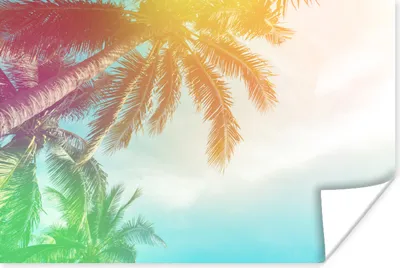 Produktbild von MuchoWow® Poster Sommer - Palmen - Himmel 30x20 cm - Plakate - Print