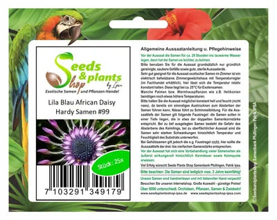 Immagine prodotto di 25x Viola blu margherita africana piante da fiore dure - Semi #99