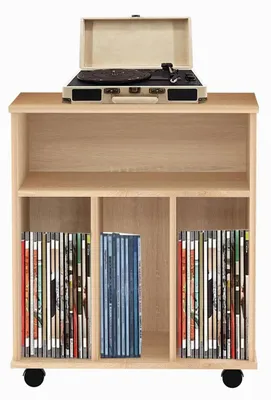 Productafbeelding van Verrijdbare Opbergkast voor LP Platen en Boeken Bruin