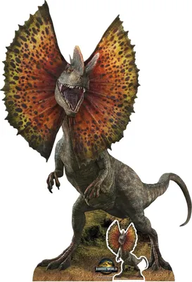 Immagine prodotto di Jurassic World - Rinascita - Dilophosaurus - Espositore in cartone 135 x92 cm