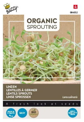 Immagine prodotto di Buzzy Lenticchia germogliata biologica - Semi biologici - Circa 30 gr | Buzzy_084052